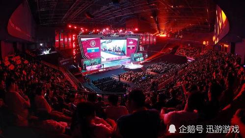 最新外网爆料csgo,外网爆料揭示游戏最新进展